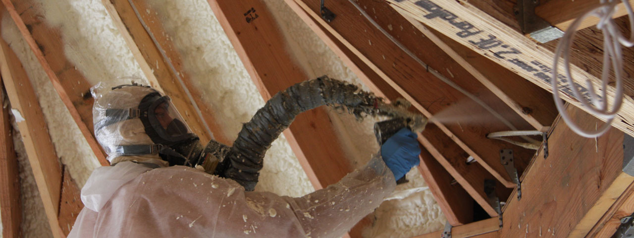 Honolulu Hawaii Attic Insulation Spray Foam Honolulu Hawaii Attic Insulation Spray Foam